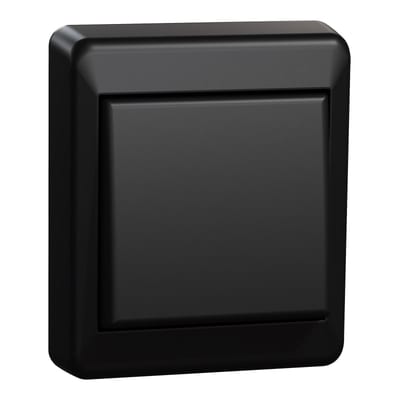 Switch 1 Pole Surface RS Black