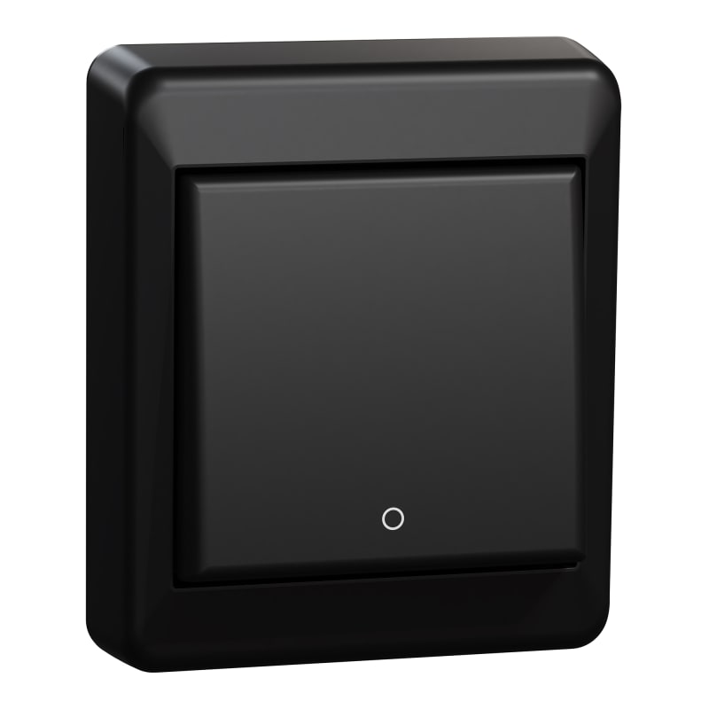 Switch 2 Pole Surface RS Black (EKO40033)