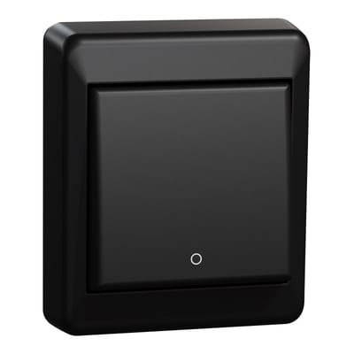Switch 2 Pole Surface RS Black