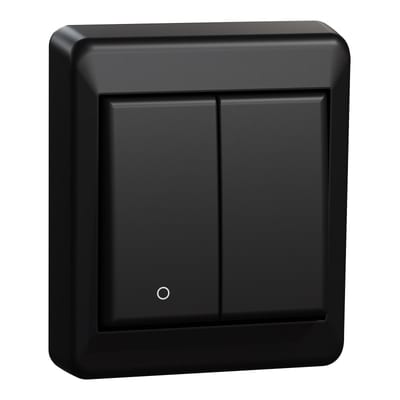 Switch 2+1 Pole Surface RS Black