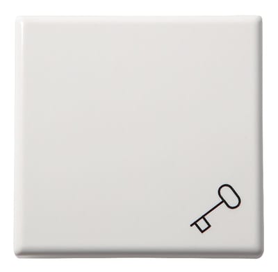 ELKO Rocker with Key Symbol Polar White Halogen-Free