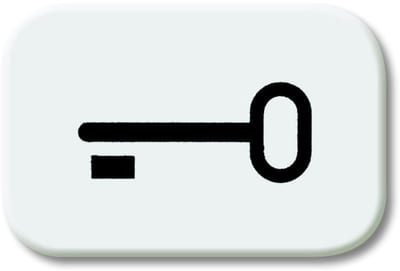 ABB Jussi 2CKA001433A0044 Rocker with Key Symbol, Alpine White