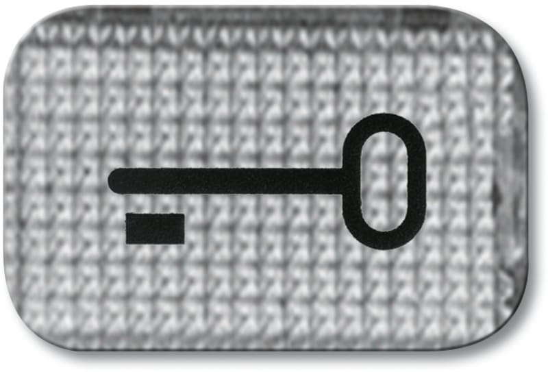 ABB Jussi Transparent Rocker Lens with Key Symbol (2145 TR)