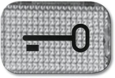 ABB Jussi Transparent Rocker Lens with Key Symbol