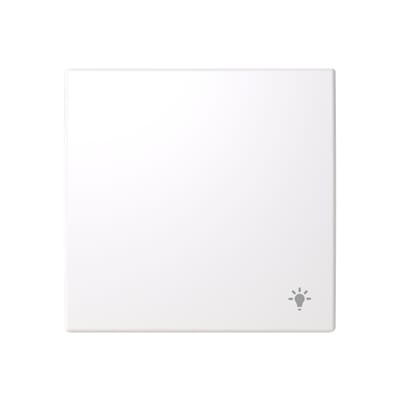 ABB SAGA Switch Rocker with Light Symbol