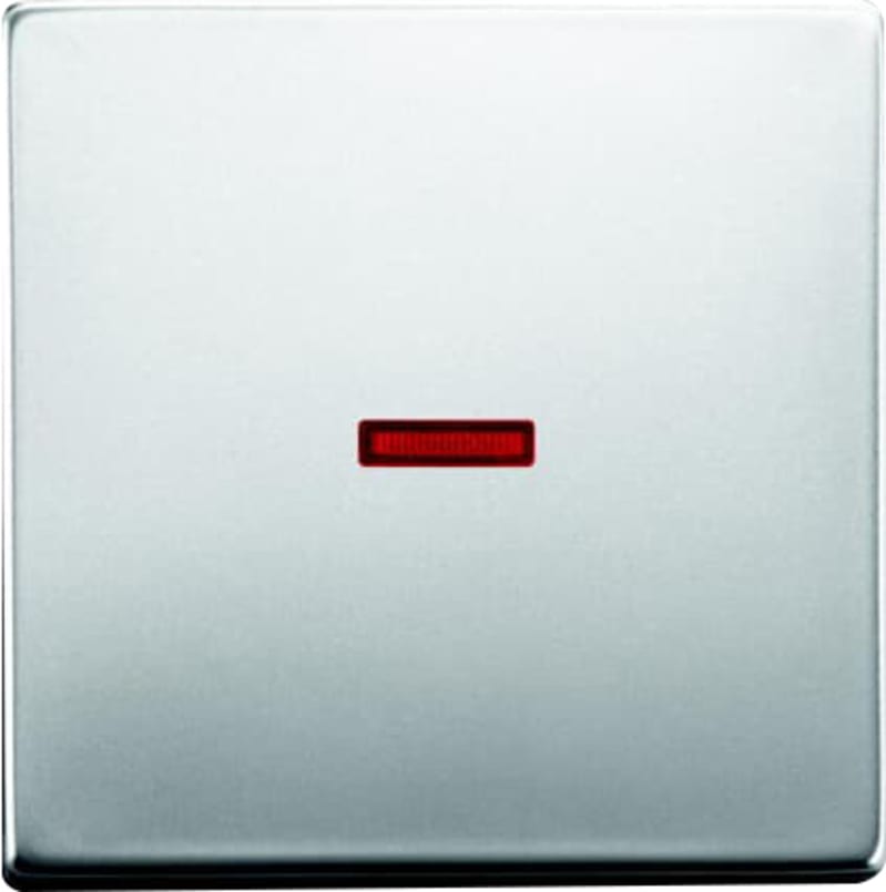 ABB switch rocker 1-pole with window PURE stainless steel (2CKA001751A2957)