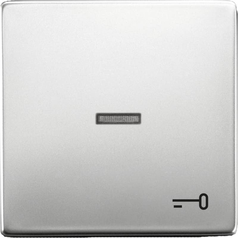 Rocker Switch with Key Symbol, Pure Stainless Steel (2CKA001751A2960)