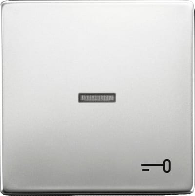 Rocker Switch with Key Symbol, Pure Stainless Steel