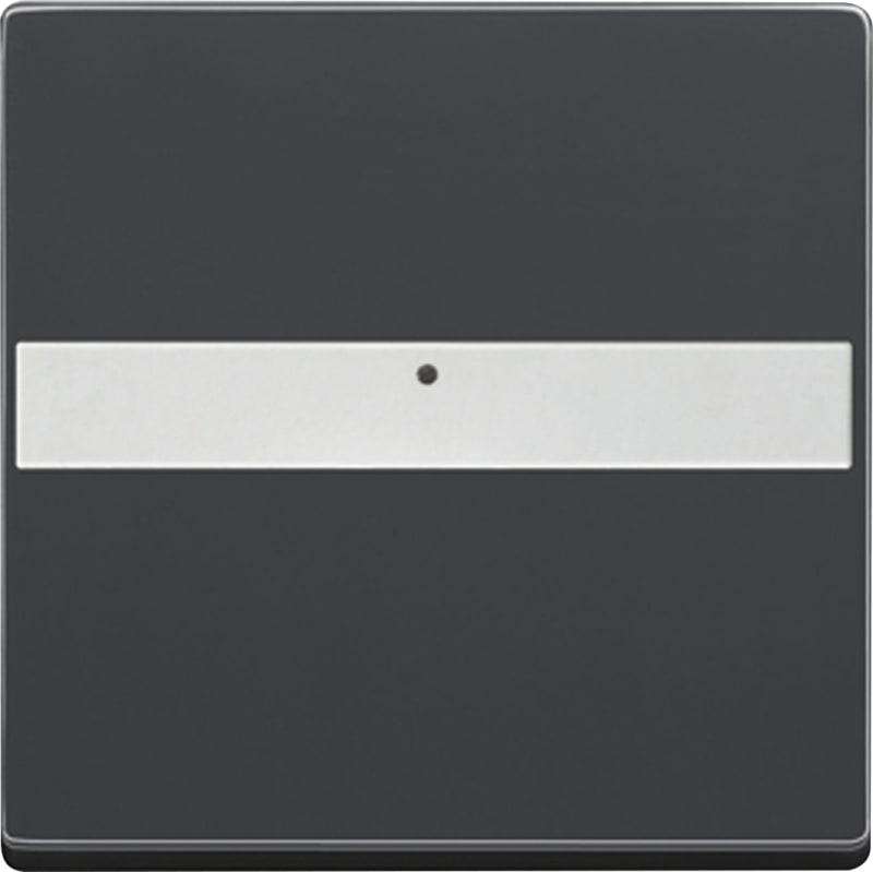 ABB Impressivo Switch Rocker with Label Area, Black Matt (2CKA001731A1982)
