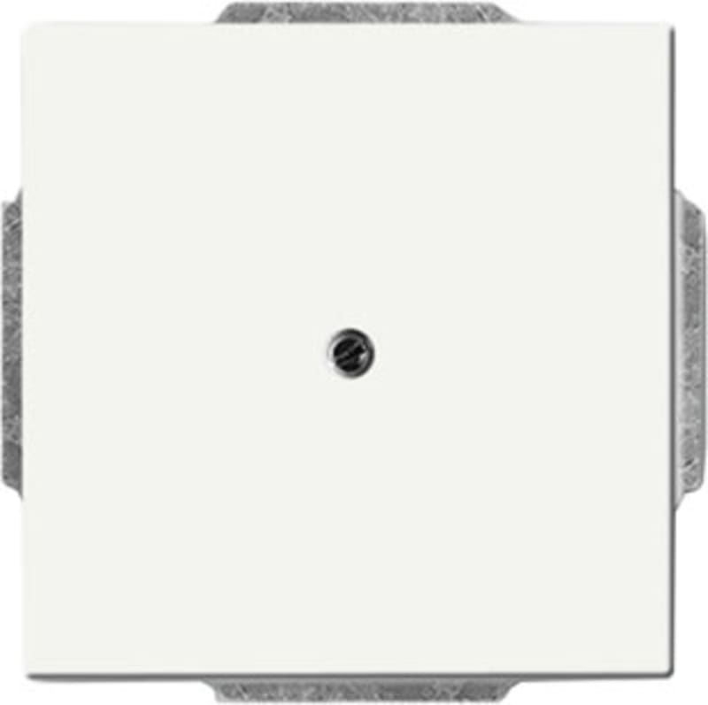 ABB 2CKA001710A3873 Contol Cover, Blind