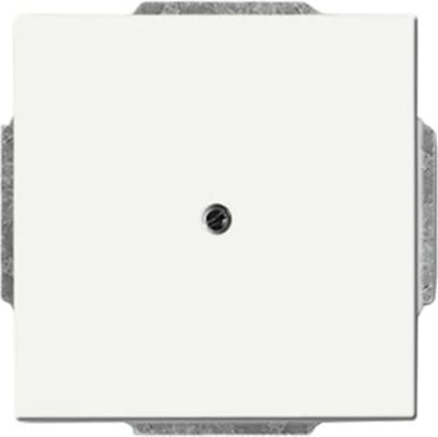 ABB 2CKA001710A3873 Contol Cover, Blind