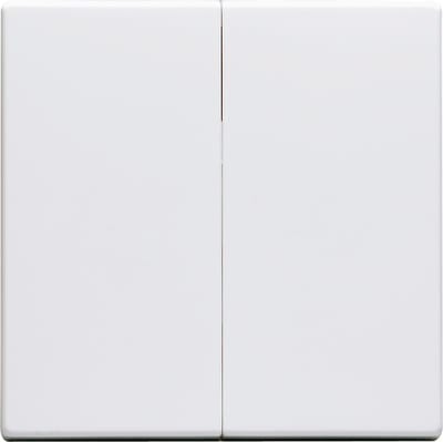 ABB Impressivo Two-Part Rocker Switch, White