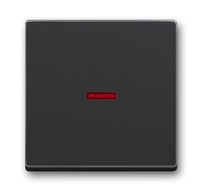 ABB Impressivo switch rocker 1-pole with window anthracite