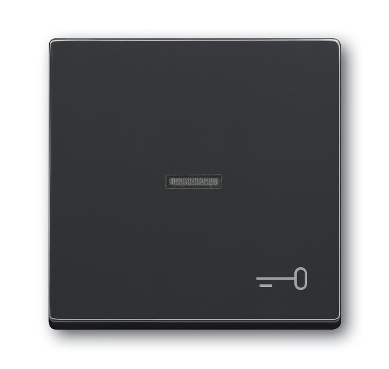 ABB 2CKA001751A2933 Impressivo Rocker with Key Symbol, Anthracite