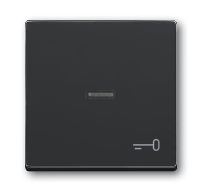 ABB 2CKA001751A2933 Impressivo Rocker with Key Symbol, Anthracite