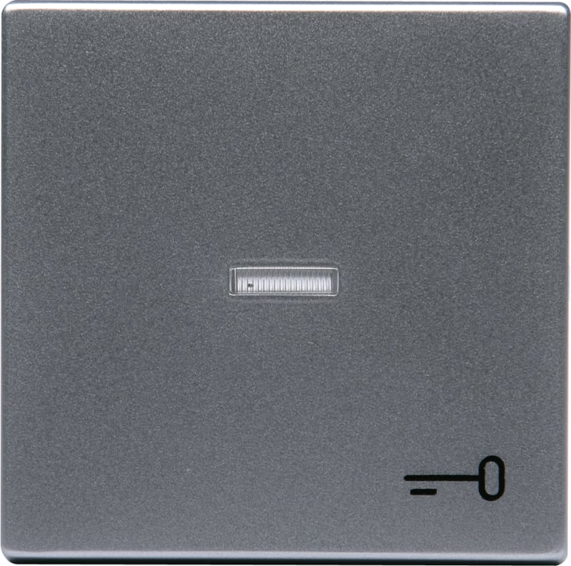 ABB Impressivo 1789 TR-83 Switch Rocker with Key Symbol, Aluminium