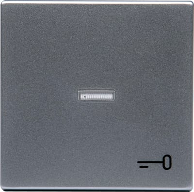 ABB Impressivo 1789 TR-83 Switch Rocker with Key Symbol, Aluminium