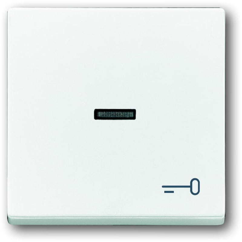 ABB Impressivo 2CKA001751A2755 Single Rocker with Key Symbol White
