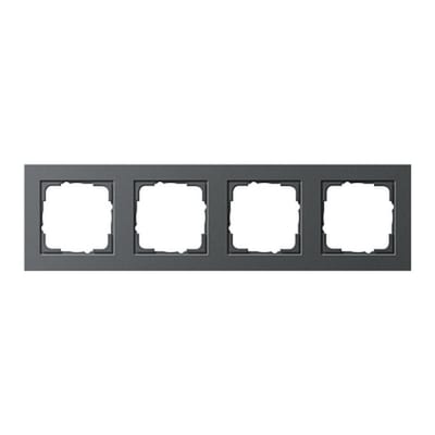 4-H Frame ANTR E2 (GI21423)