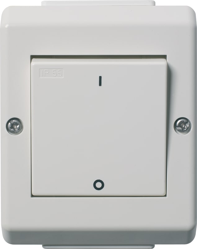 Limit Switch 2-P Surface IP55 (EKO04295)