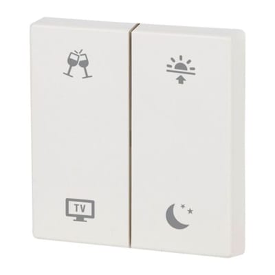 Eaton CWIZ-02/d7 xComfort Two-Hallway Rocker, Alpine White Matte, Scene Icons