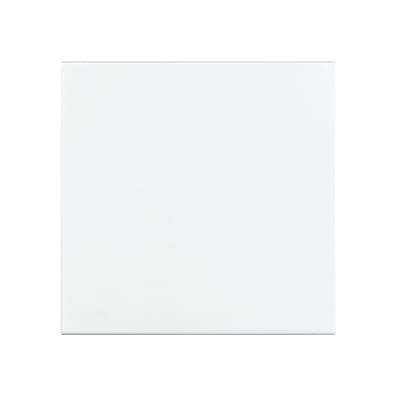 Switch Button 1 POLE White