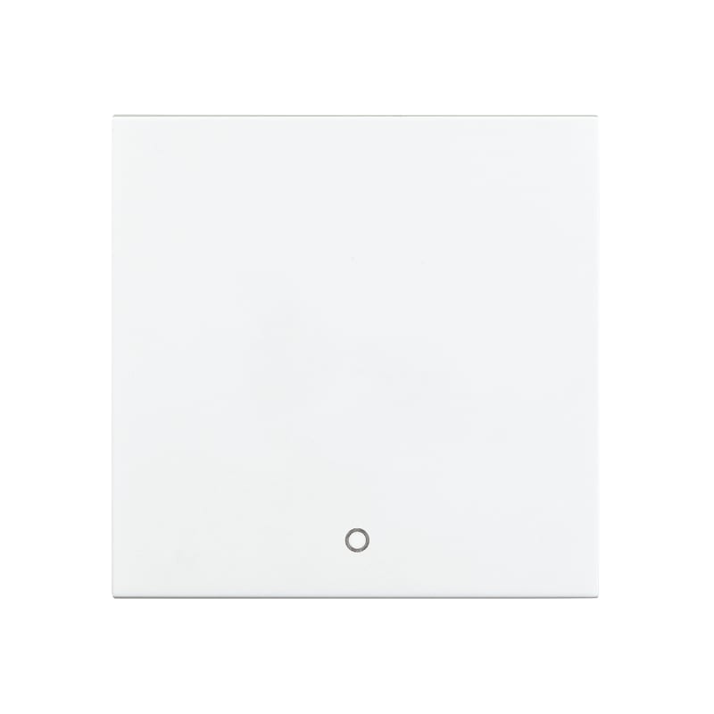 Switch Button 2 POLE White (76964)