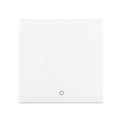 Switch Button 2 POLE White