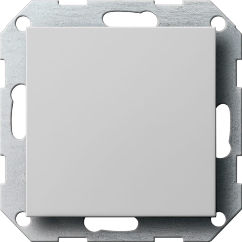 Blank Plate GREY MATT (1479055)