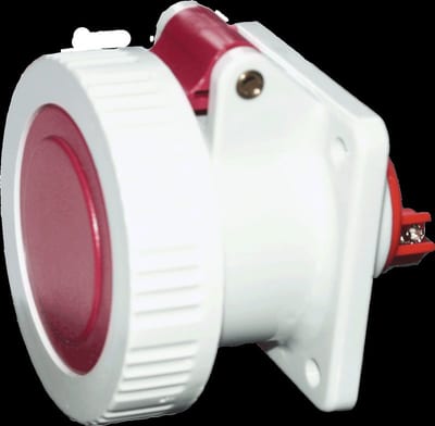 Socket innf.straight 363-6 IP67