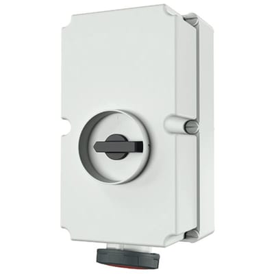 Wall-Mounted outlet DUO,4125-6IP67