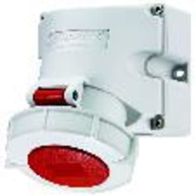 Wall-Mounted outlet, 432-6, IP67