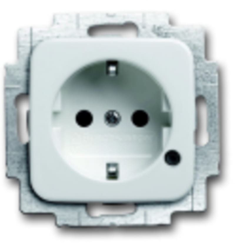 ABB Shuttered. with screwless terminals. DP (2 P + E) with transparent lens. LED colour green. 2CKA002013A5281