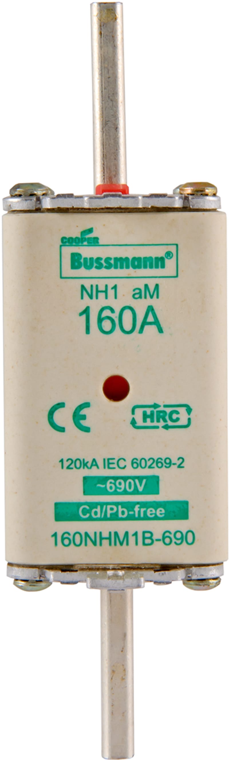 NH-1 690V aM 100A (100NHM1B-690)