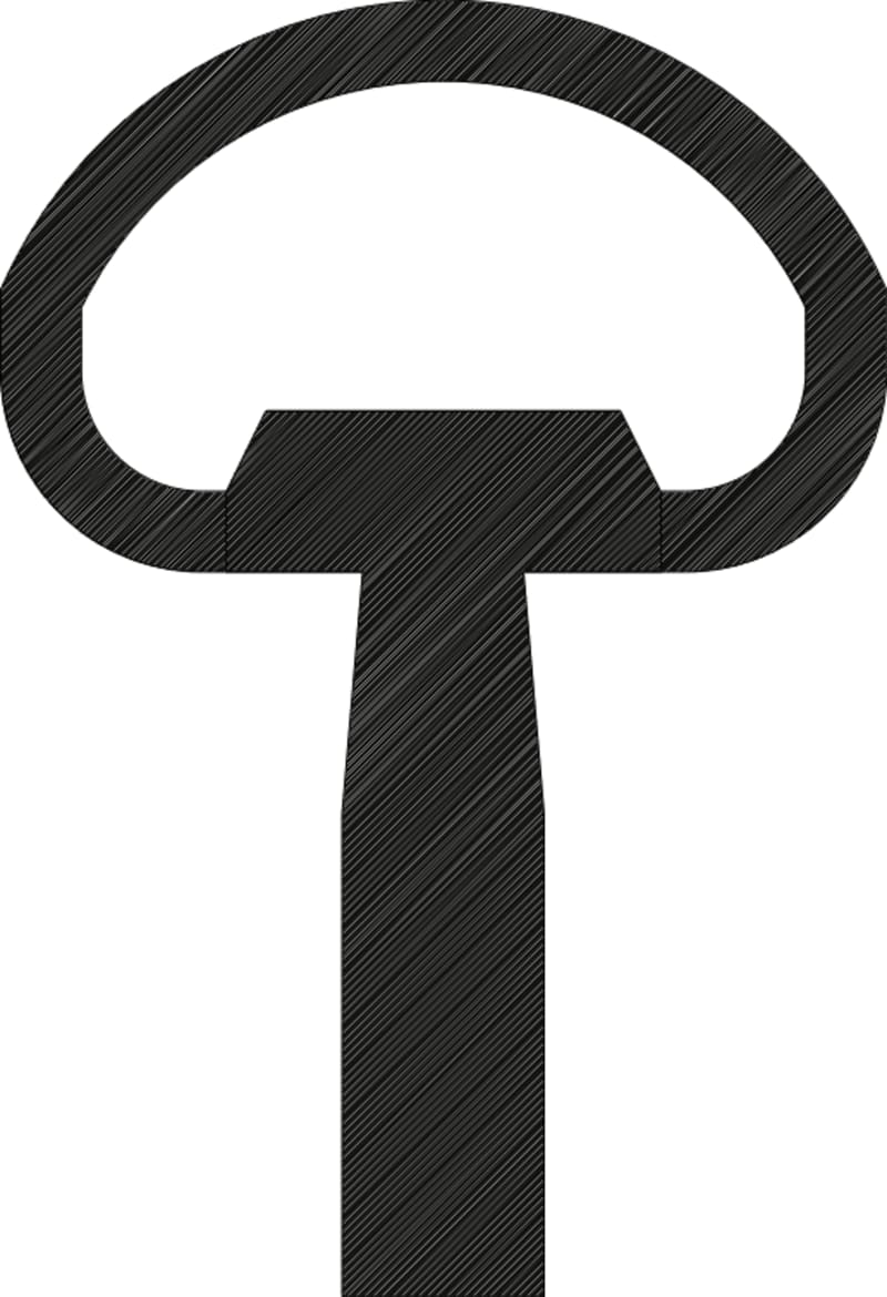 Triangular key for IS cabinet (TN-IS)