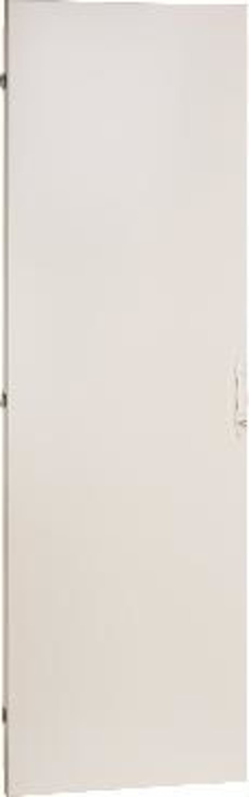 Schneider Electric Door, PrismaSeT P, reinforced plain door, W650, IP30, IK10, white, RAL 9003 LVS01224