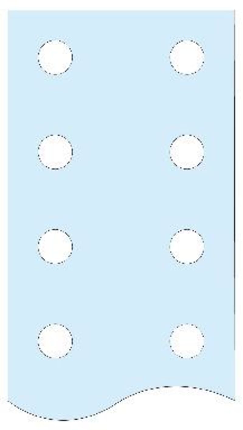 Perforated flat rail-LGY BS-Vertical 80X5MM (LVS04518)