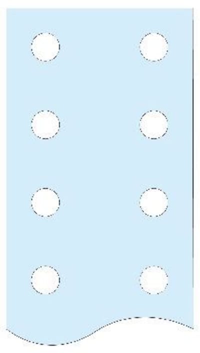 Perforated flat rail-LGY BS-Vertical 80X5MM