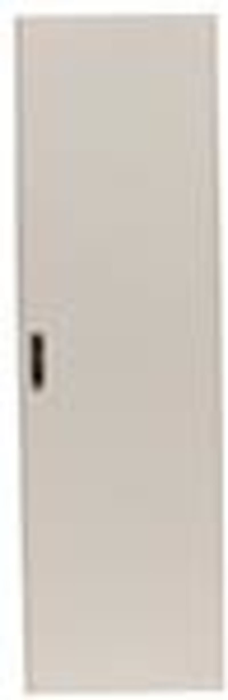 Door H×W=2060X800MM white (BPZ-DS-800/20-P-W)