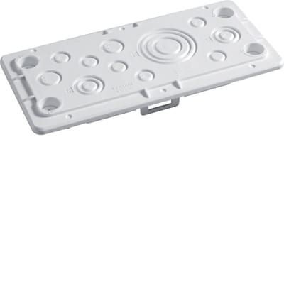 Hager Systemer Narrow Cable Entry Flange with 16–20 mm Enclosure Glands, 220 x 120 mm, Pre-Stamped (El-nr 2471652)