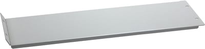 Modular Blank Plate with Hinges (NSYMPCH208)