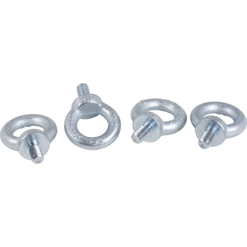 Schneider Electric NSYSFEB Lifting eyebolts, PanelSeT SFN, PanelSet SF, steel, M12, set of 4