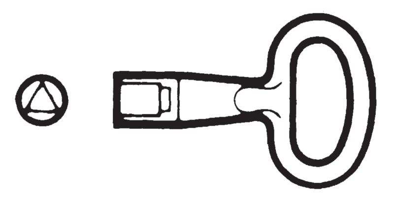 Schneider Electric NSYLT8 8 mm Triangular Key for Enclosure Locks