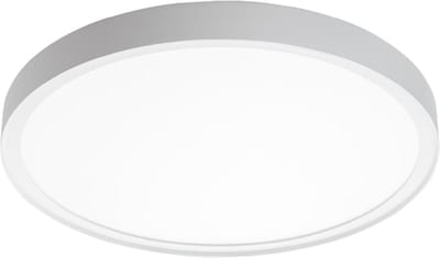 DISC 480 White 36W/827