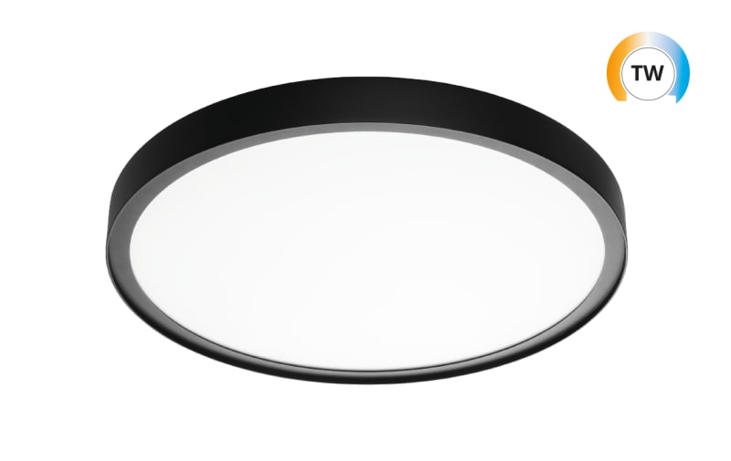 DISC 480 Black 36W TW DALI DT8 (606026)