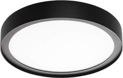 DISC 290 Black 17W/830