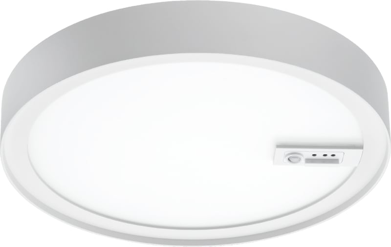 DISC 290 Connect White 17W/840 (606173)