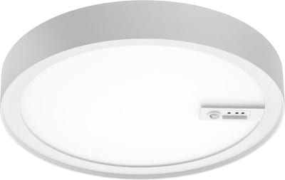 DISC 290 Connect White 17W/840