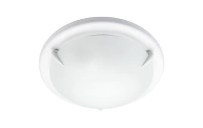 Glass Oyster Ceiling