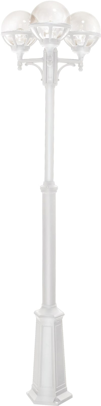 Bologna 364 White (364W)